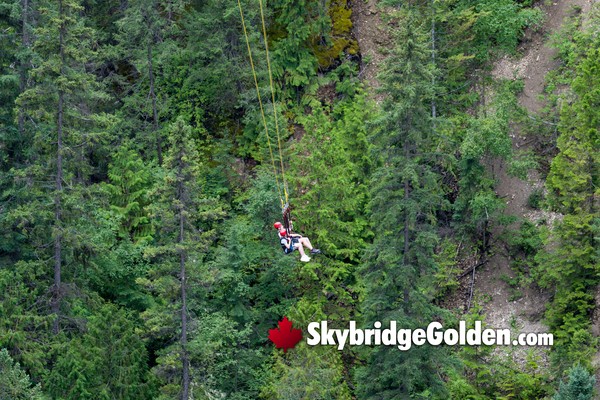 Golden Skybridge Giant Canyon Swing
