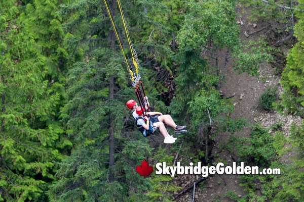 Golden Skybridge Giant Canyon Swing