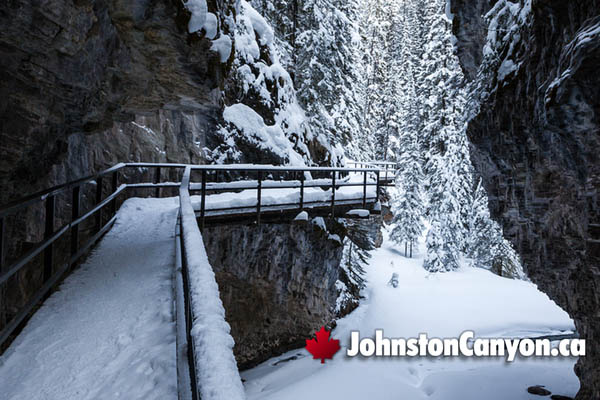 Hike Johnston Canyon in Winter