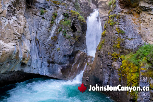 History of Johnston Canyon