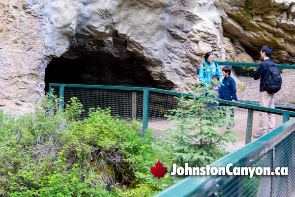 Hike Johnston Canyon