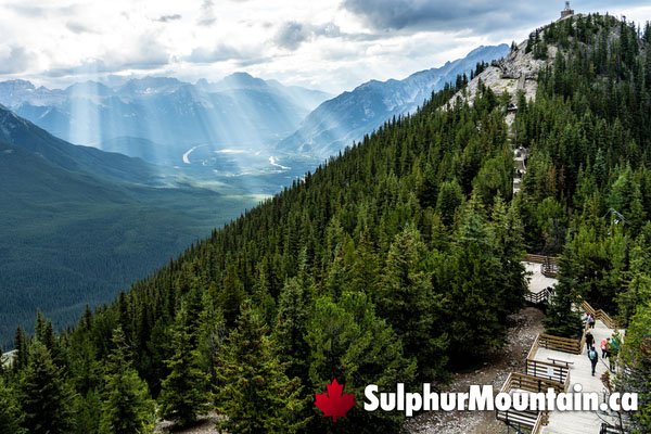 Sulphur Mountain Banff Gondola