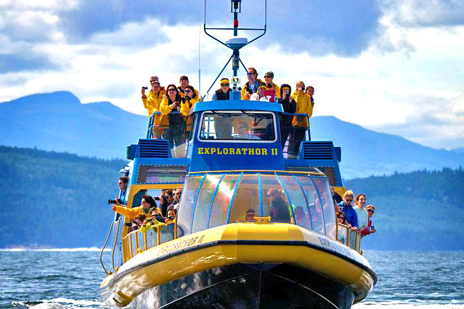 Whale Watching Tour from Vancouver