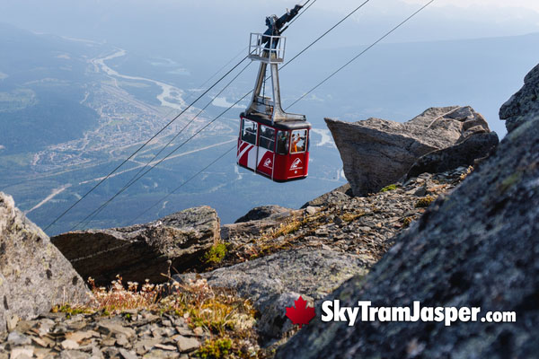 Jasper National Park SkyTram