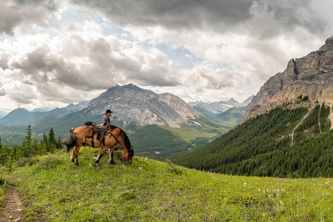 Horseback Riding Tours in Banff National Park